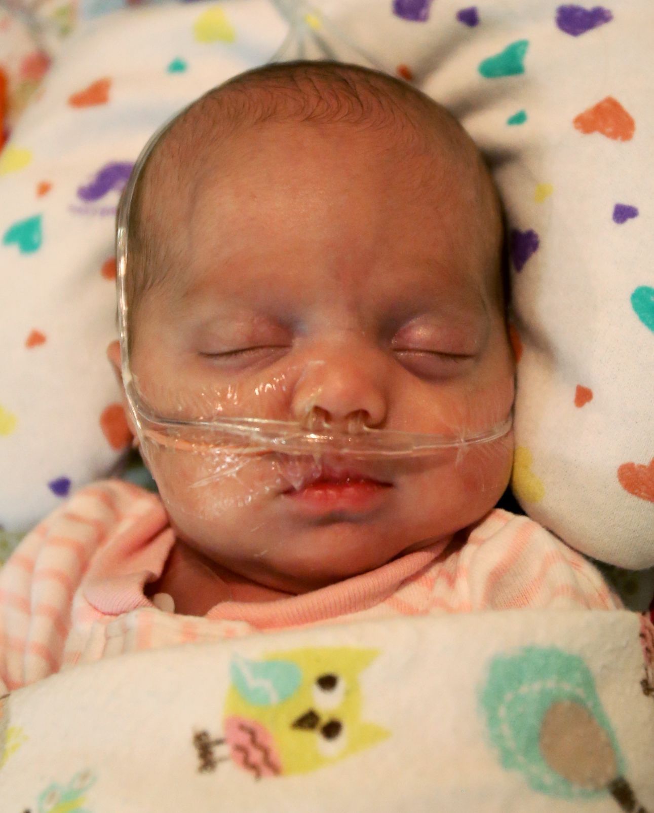 Baby Lyra